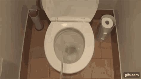 bathroom anal gif|Relevance Bathroom Anal Gifs